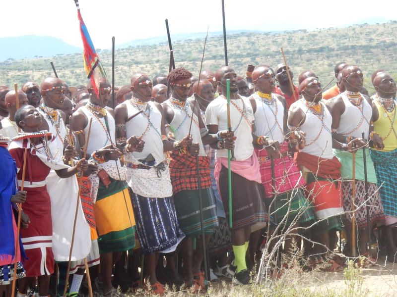 Line of Maasai men in shukas mid-song at a community ceremony, holding sticks, open savannah behind